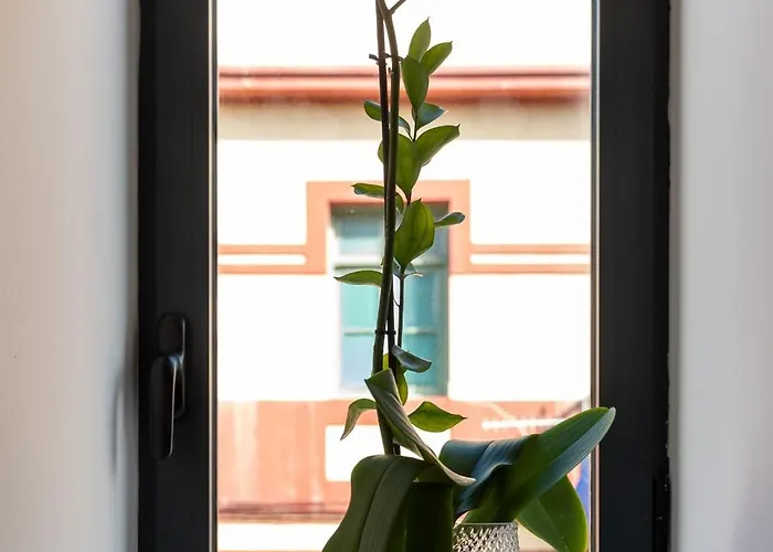 Casa de Férias Canteras Aqua Essence - Private Pool & Las Palmas de Gran Canárias